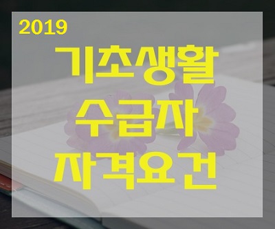 2019년기초생활수급자